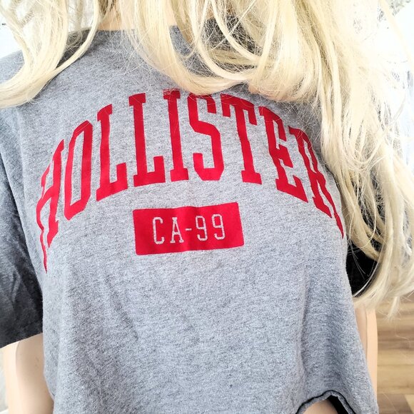 Hollister Crop Top Gray with Red Velvet-like Hollister Logo Medium - Picture 7 of 10